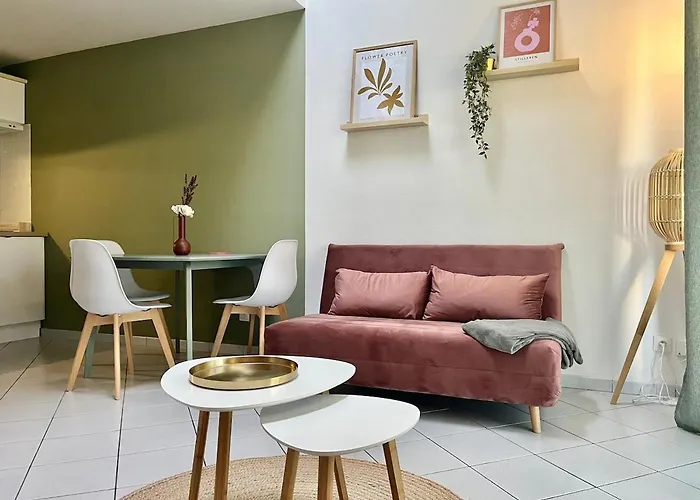 Appartement Maison Avec Terrasse Et Parking Alencon